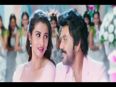 praanaana paatale paaduthundi rudhrudu |song Tamil Telugu raghava | stylish srinivas 2485