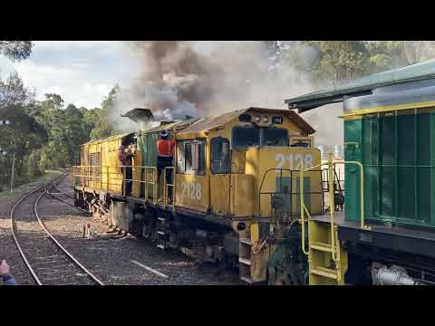 Don River Railway welcomes new loco.