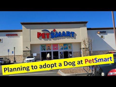 PetSmart Store I Adopting a Doggie
