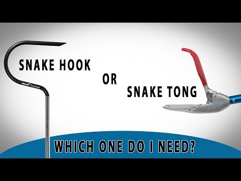 Snake Hook vs Snake Tong | Which One Should I Choose