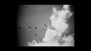 Jay Jay Johanson - Suffering