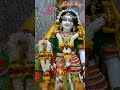 Pujya Chitra Vichitra Ji Bhajan Status Short Video Radha Rani WhatsApp Status