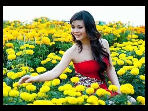 Giọt mưa sợi nắng - Minh Hoàng