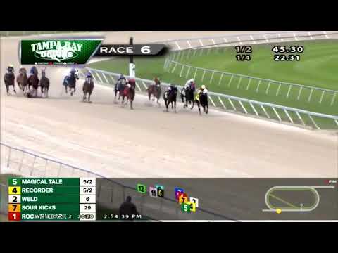 VOLVIO A NACER. El jinete panameño Joseph Trejos sufrió un aparatoso accidente.