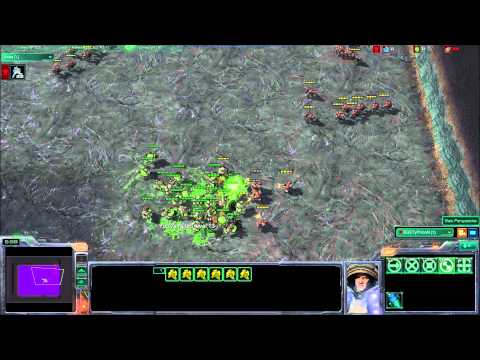 Marine Split Custom Level 13 passed shown by BGSTyPHoon with stim on creep