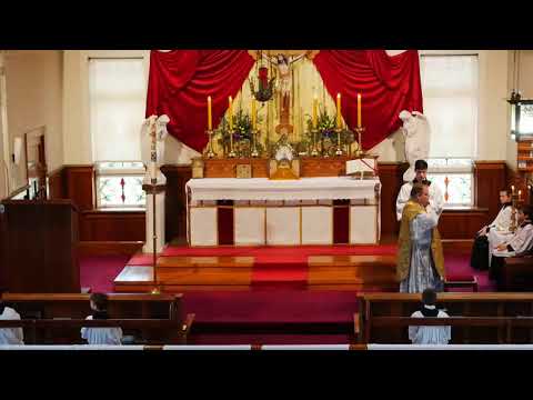 SSPXNZLIVE Livestream - 11 May 2019 High Mass