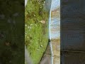 channel