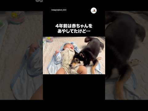 4年前は赤ちゃんあやしてたけど、現在は…｜PECO