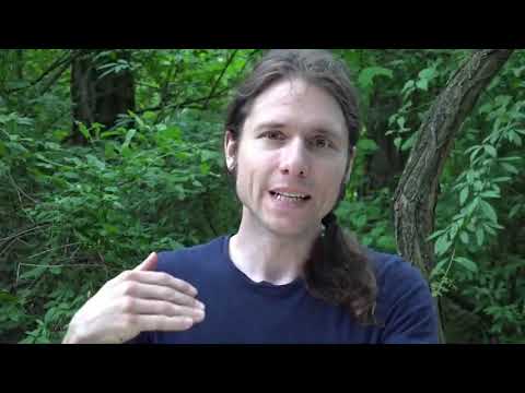 Video-Thumbnail von YouTube