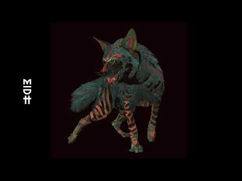 Hyenah Feat. Bajka - The Message (Henrik Schwarz Remix) (MIDH Premiere)