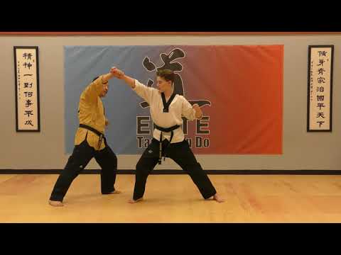 Elite Taekwondo - H.Brown/Red/H.Red Belt one step sparring skills
