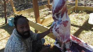 How to Butcher a GOAT For Beginners (GRAPHIC)