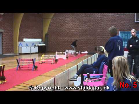 Danish Championships 2012 in Rabbit Hopping - Elite straight - Top 10