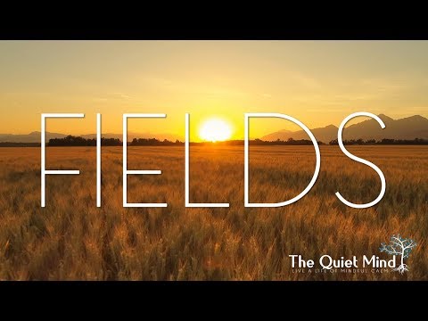 4K - FIELDS - Relax and Unwind to Wonderful Scenery of Wheat Fields - Meditation and Sleep Music