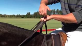 Holding Reins for Polo