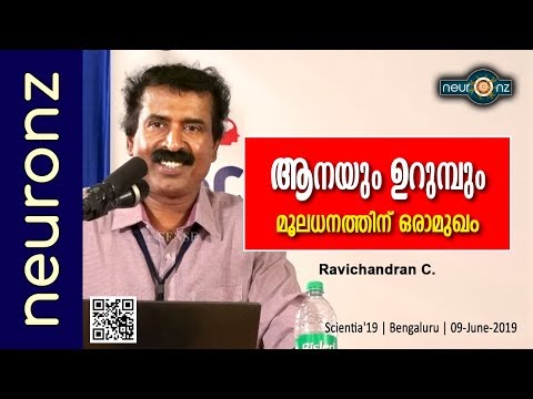 ആനയും ഉറുമ്പും (മൂലധനത്തിന് ഒരാമുഖം) - Ravichandran C