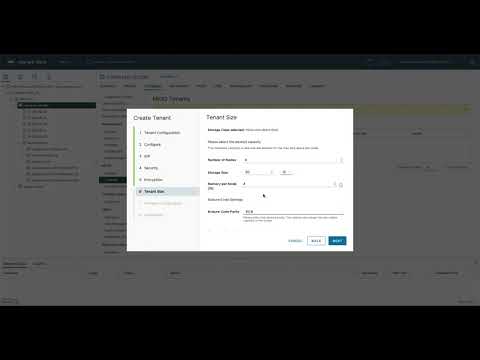 Introduction and Demo of vSAN Data Persistence Platform (DPp)