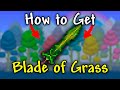 How To Get Blade Of Grass In Terraria 2026 Terraria Blade Of Grass