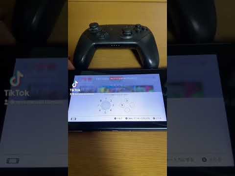 Nintendo Switch の助けで: 誘拐された少女を救出