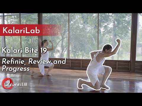 Kalari Bite 19 - Refinie, Review and Progress - Kalarilab