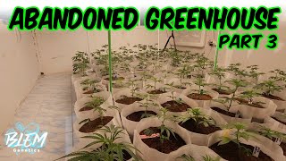 ABANDONED GREENHOUSE PROPERTY GETS PLANTS!!!