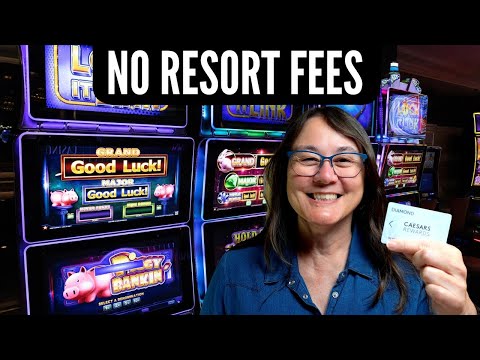 Casino Dépôt Neosurf Une Option Fiable pour les Joueurs