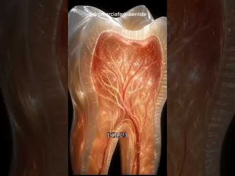 Marcia Faria Beniste-135