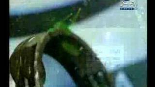 كلمات اغنية قصة عالمية شمس الكويتية