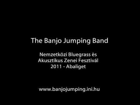 The Banjo Jumping Band - Nine Pound Hammer