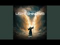 Usiyeshindwa
