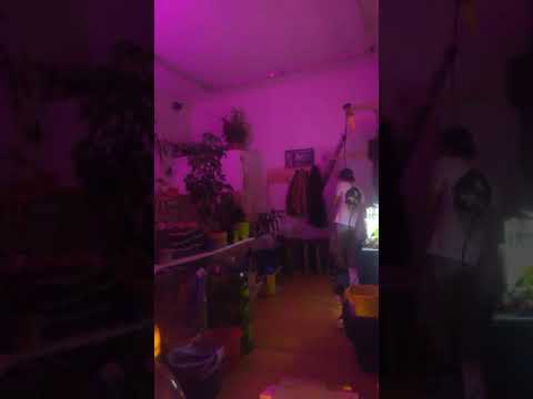 dance ...shit Robot "where it's All" (Johnny Aux Remix)