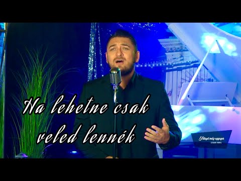 Sztojka Tibi - Ha lehetne (Tv - felvétel)