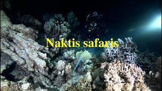 Naktis safaris