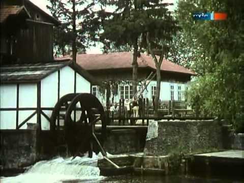 Die Kinder vom Mühlental