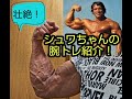 壮絶!アーノルド・シュワルツェネッガーの腕トレ!