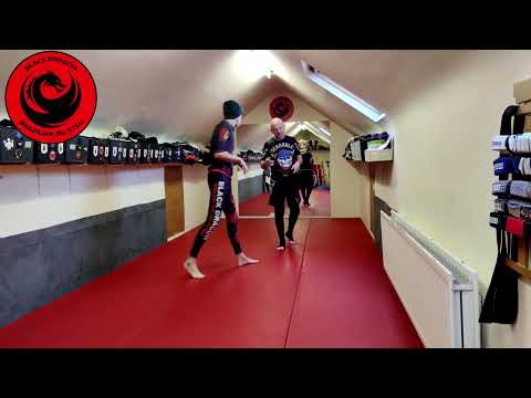 Sloth Jiu Jitsu (No Gi Deep Half Guard System) – Collar Tie Spin In Entry to Deep Half Guard(week 7)