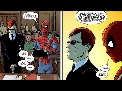 Daredevil Fights For Spider-Man In Court