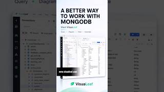 MongoDB GUI: Query Builder, Aggregations & Charts | VisuaLeaf