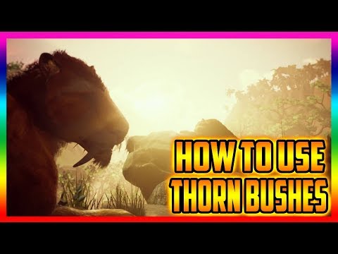 Ancestors The Humankind Odyssey How To Use Thorn Bushes