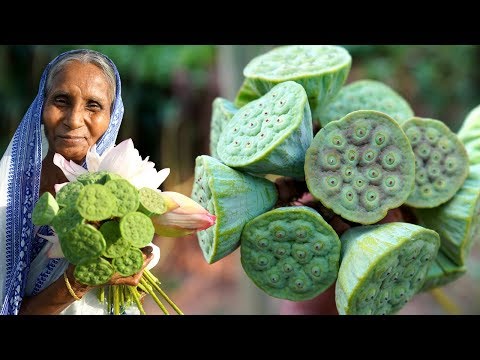 download lagu mp3 mp4 Lotus Seed, download mp3 Lotus Seed free download, download mp3 Lotus Seed
