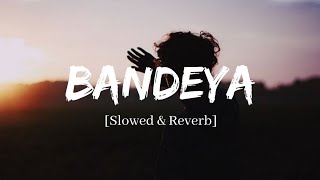Bandeya - Arijit Singh Dil Juunglee Song | Slowed and Reverb Lofi Mix
