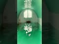 Which Liminal Space Path Would You Choose