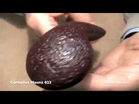 pipa Cornelius Maenz 023 - smoking pipes
