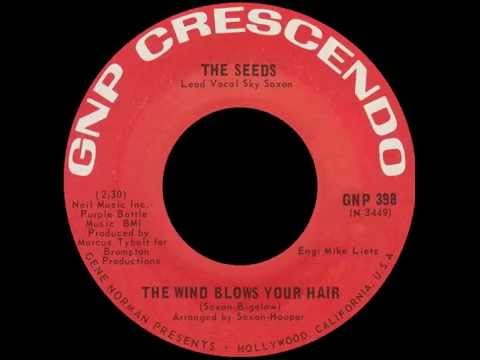 The Seeds - The Wind Blows Your Hair