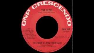 The Seeds - The Wind Blows Your Hair