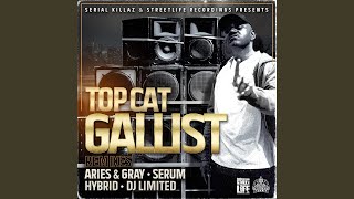 Gallist (Aries & Gray Remix)