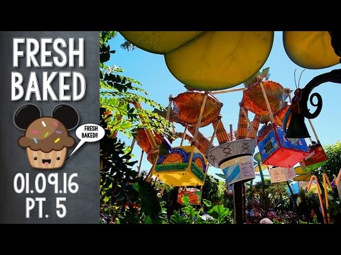 Fliks Flyers, where we find out what your Bugs Life spirit animal is | 01-09-16 Pt. 5