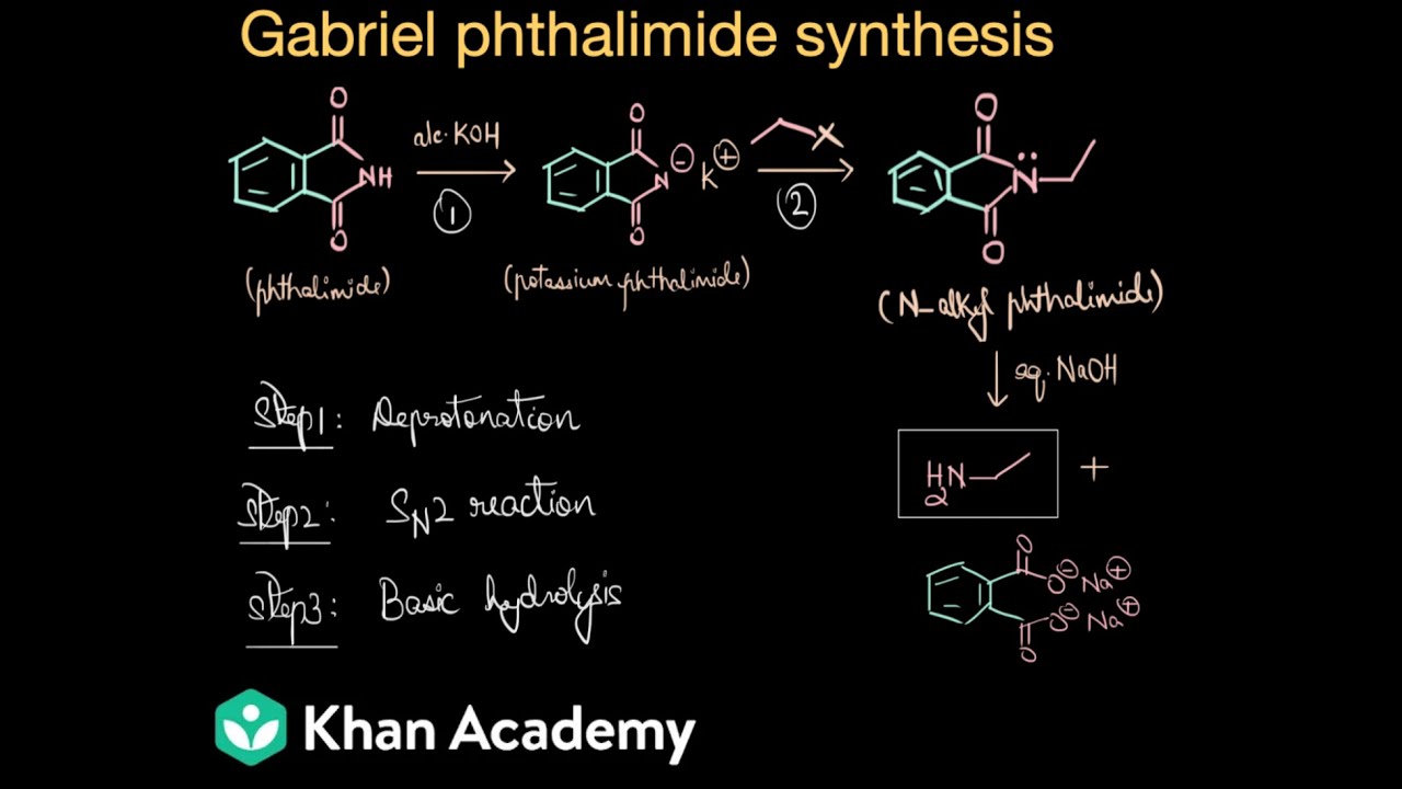 Gabriel phthalimide synthesis | Amines | Class 12 | Chemistry | Khan Academy