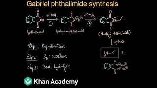 Gabriel phthalimide synthesis | Amines | Class 12 | Chemistry | Khan Academy