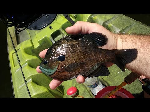 Fishing: Make a Drop Shot Rig for Panfish : 5 Steps (with Pictures